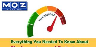 Importance of Testosterone