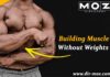 Muscle Without Weights