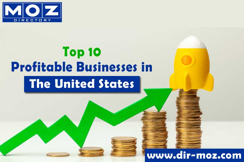 Amazing Top 10 Profitable Businesses In The United States